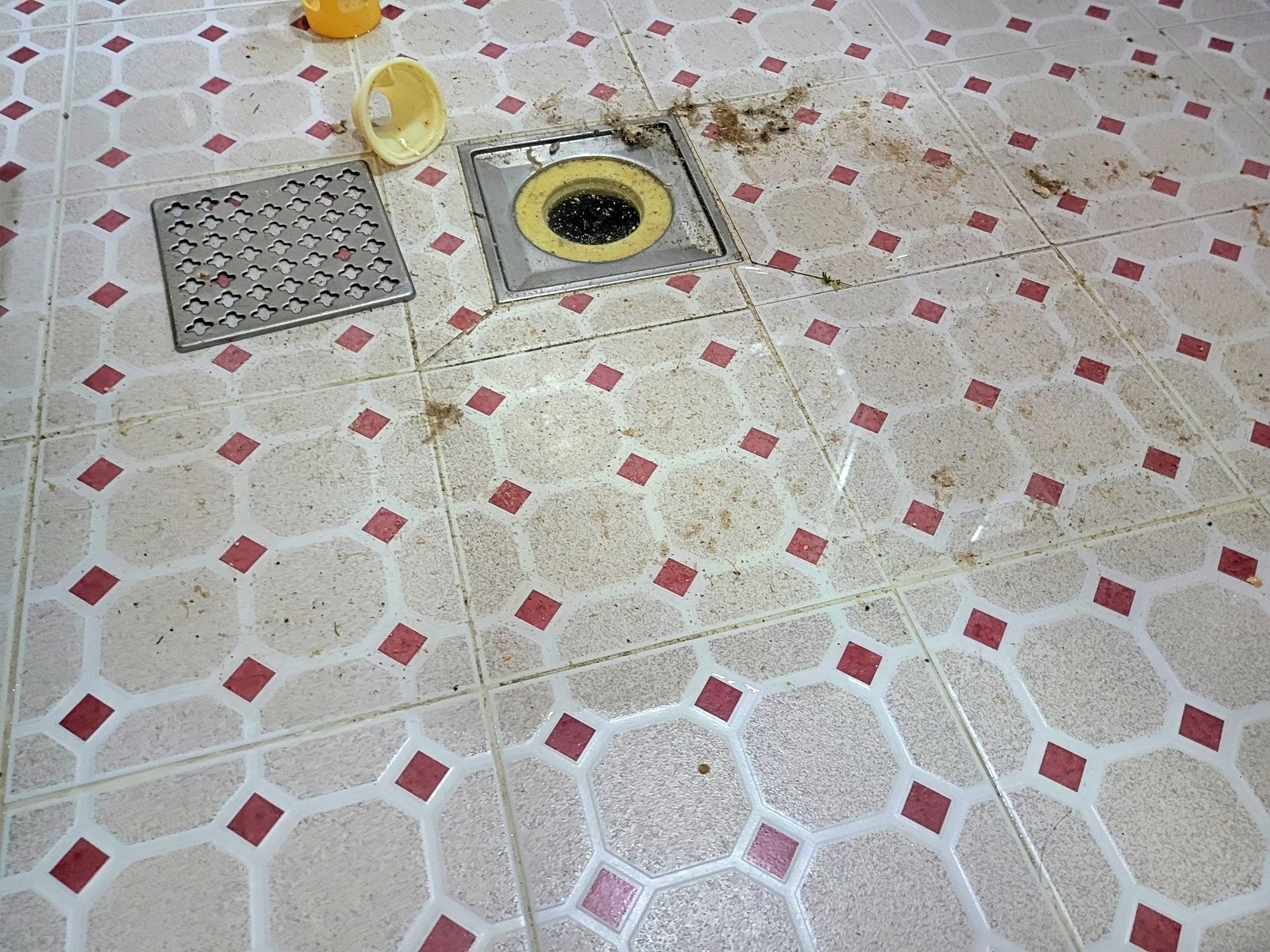 안산 상록구 본오동 화장실 바닥 배수구 역류 상태