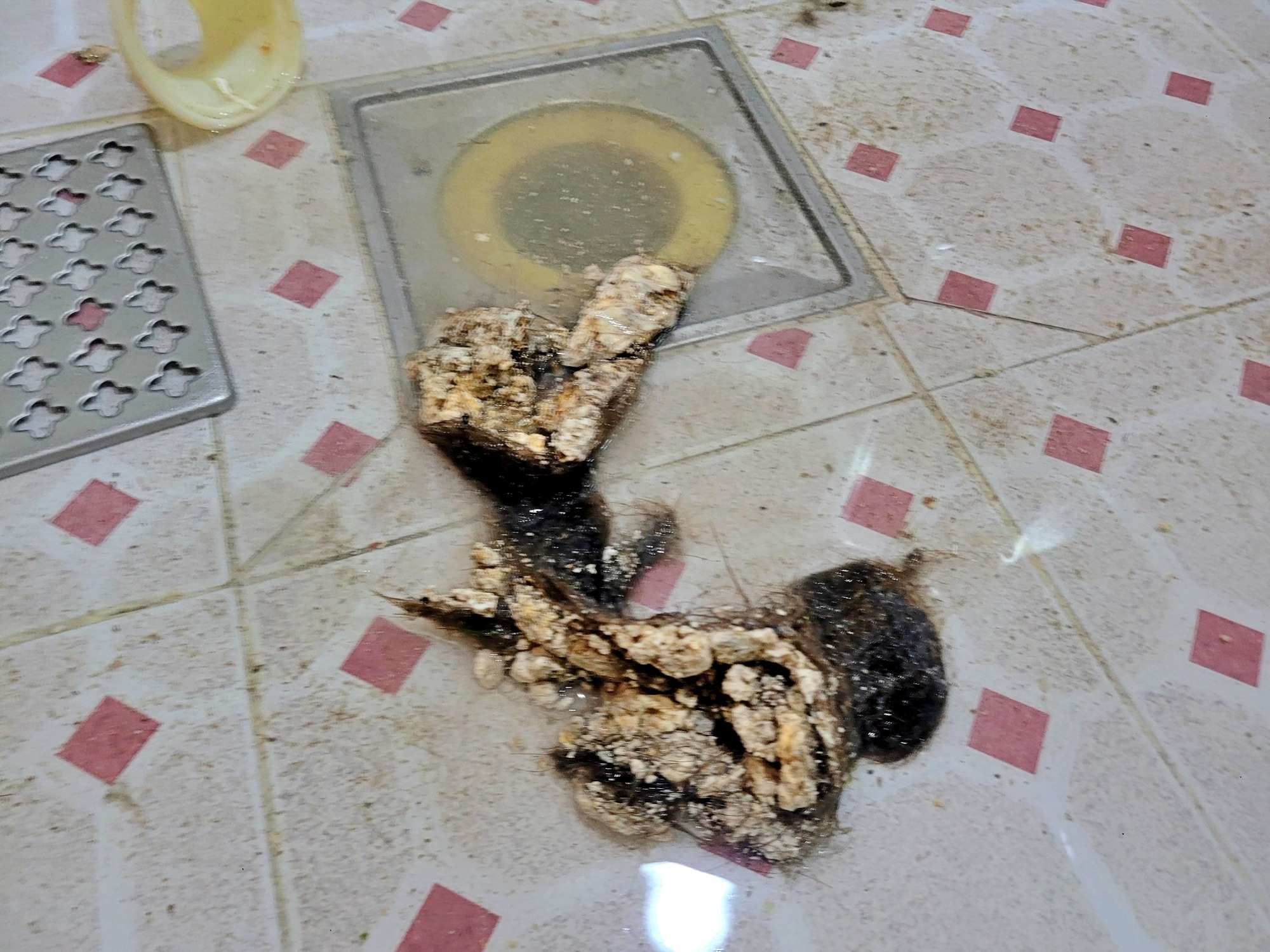 본오동 싱크대 막힘 원인인 머리카락과 기름때 이물질