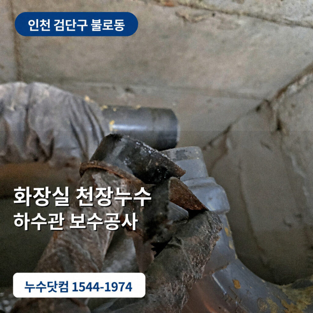 인천 검단구 불로동 화장실 천장누수 | 찢어진 하수관 보수공사