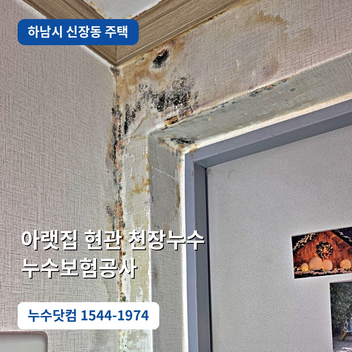 하남시 신장동 아랫집 현관 천장누수 누수보험공사 현장