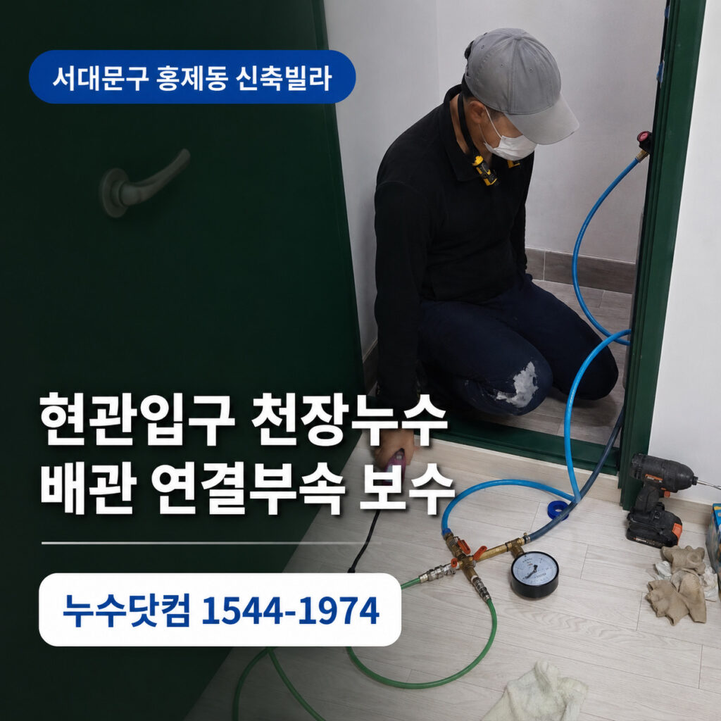 서대문구 홍제동 신축빌라 현관입구 천장누수 | 배관 연결부속 보수공사