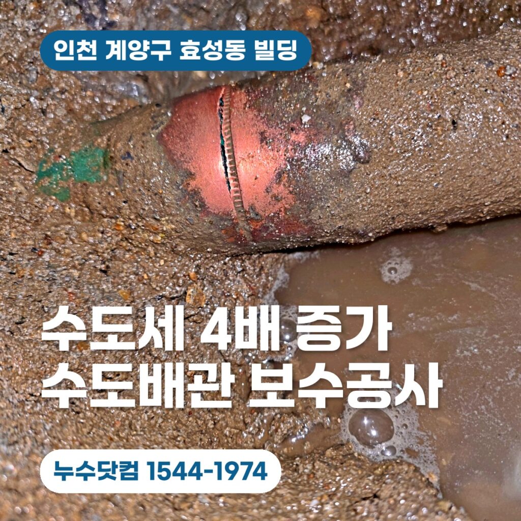 계양구 효성동 빌딩 수도세 4배 증가, 소화전 앞 배관 보수공사로 해결