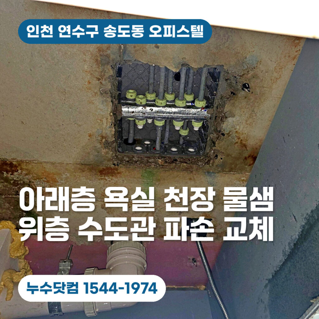 연수구 송도동 오피스텔 누수공사, 아래층 욕실 천장 물샘 원인