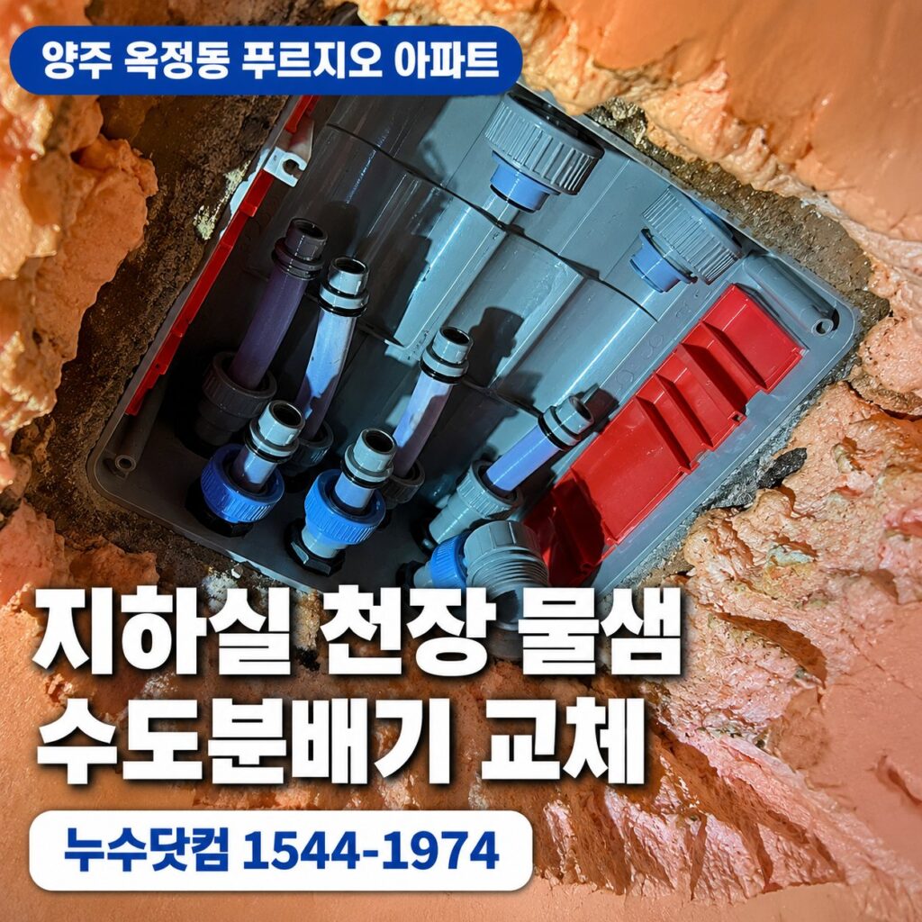 양주시 옥정동 푸르지오 누수탐지, 지하실 천장 분배기 물샘 공사후기
