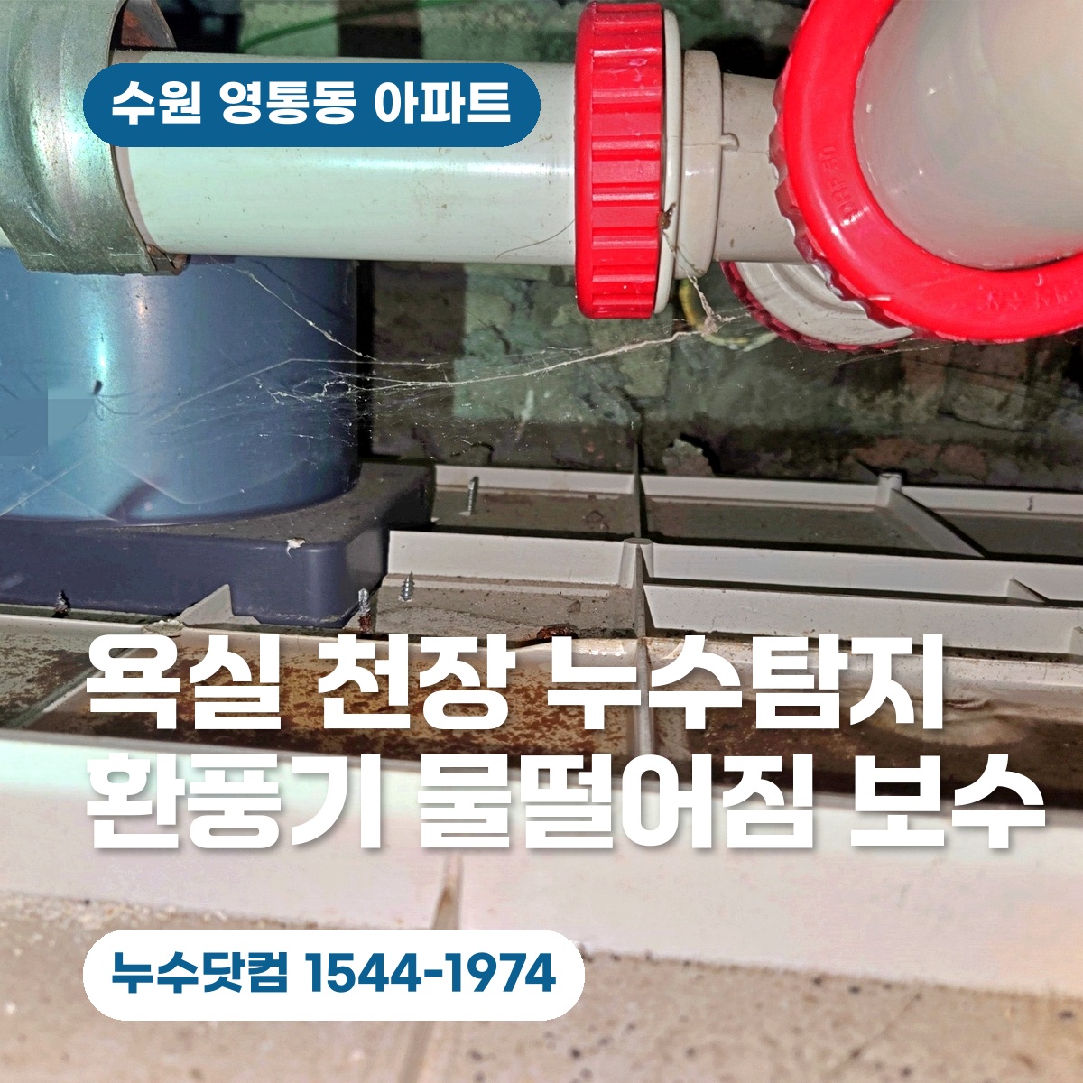 수원 영통동 욕실 천장 누수탐지 환풍기 물떨어짐 보수공사