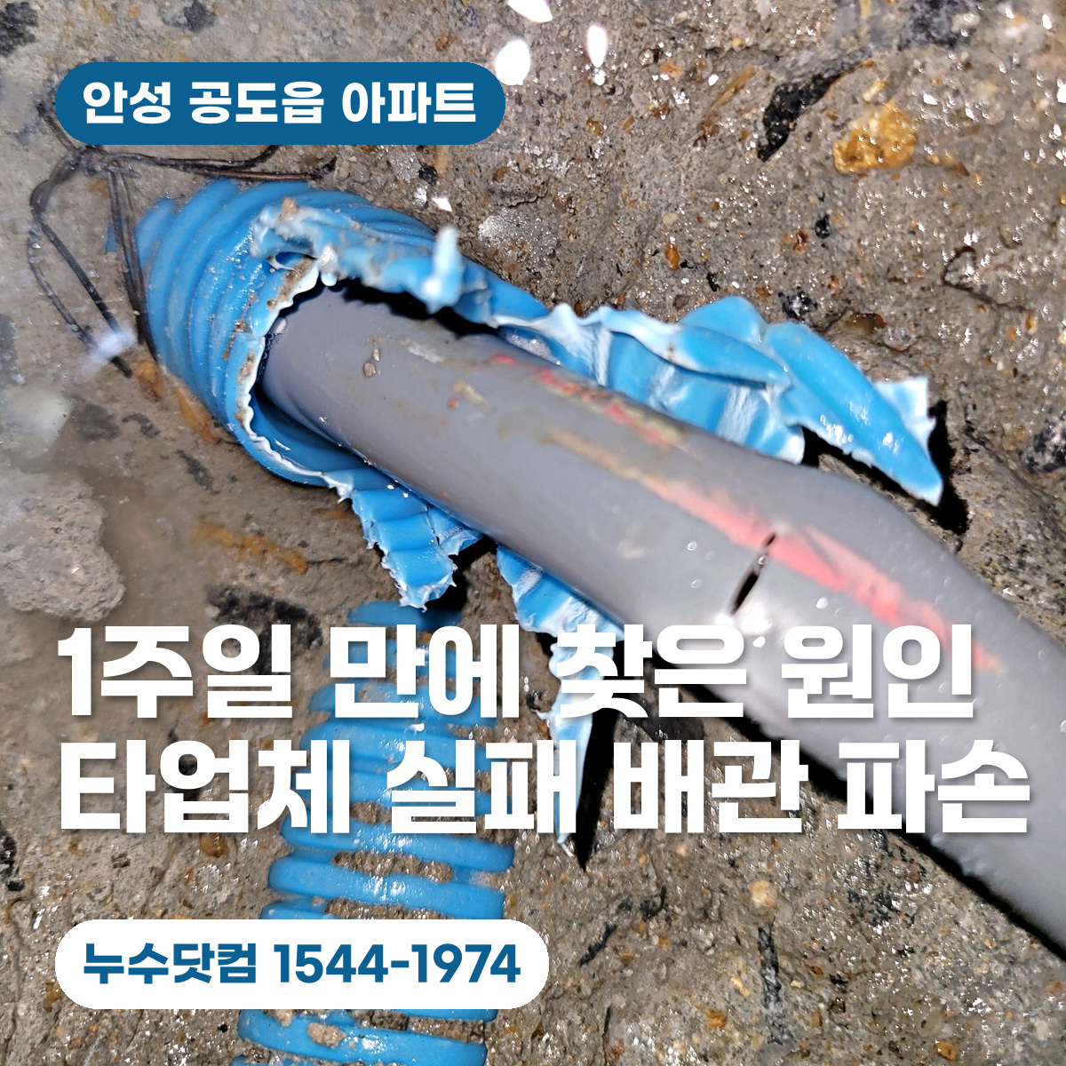 안성 공도읍 아파트 아래층 누수탐지 1주일 만에 찾은 배관 파손