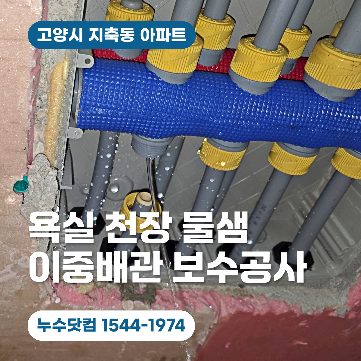 고양시 지축동 아래층 욕실 천장누수 이중배관 보수공사