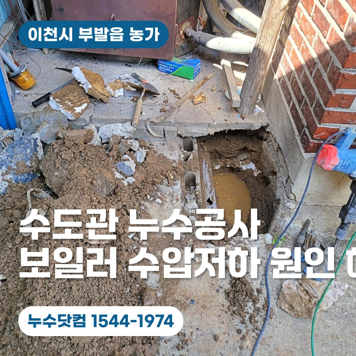이천 부발읍 농가 수도관 누수공사 대표 이미지
