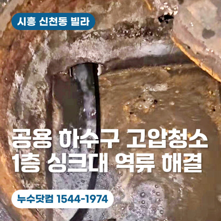 시흥 신천동 빌라 공용 하수구 고압청소로 1층 싱크대 역류 해결